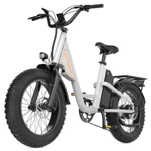 Urban 1000W  Fat Tire E-bike