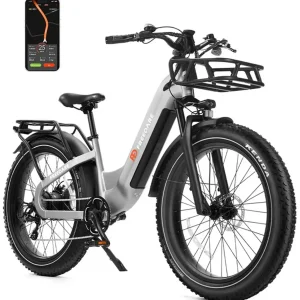 26''Fat Tire 1000W Ebike