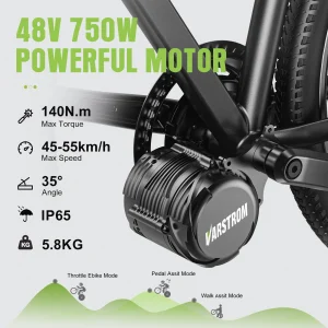 Tongsheng 750W Mid Motor With Torque Sensor & Battery