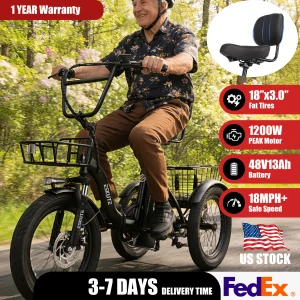 ESKUTE T300 Electric Bicycle Trike