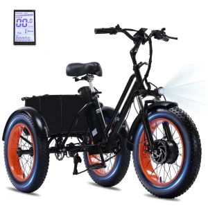 1000W eTricycle