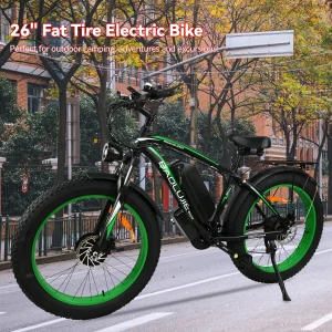 Electric Bike 2000W Dual Motor