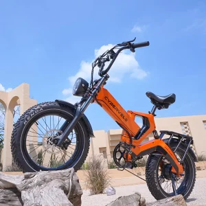 2000W Big Battery Folding eBike