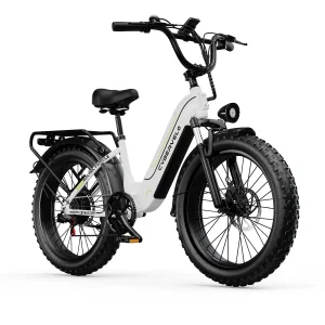 1000W Step-Thru Ebike
